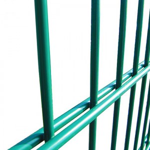 8 Years Exporter China Supplier 2D Double Wire Panel Fence Hot Sale