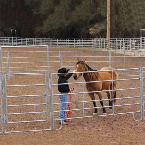 Horse-Fence -panel