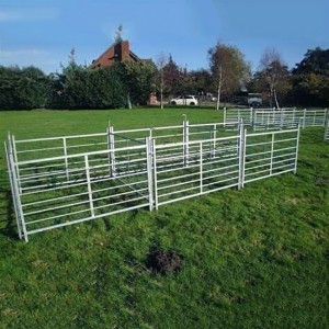 Horse-Fence (56)
