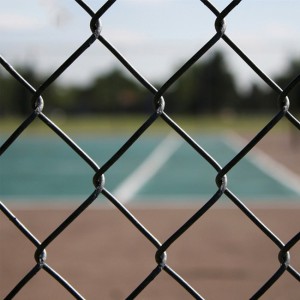 chain link fencing black(5)