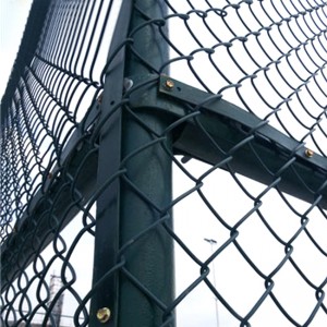 chain link fencing black(6)